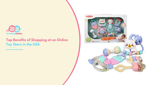 Online Toy Store in the USA