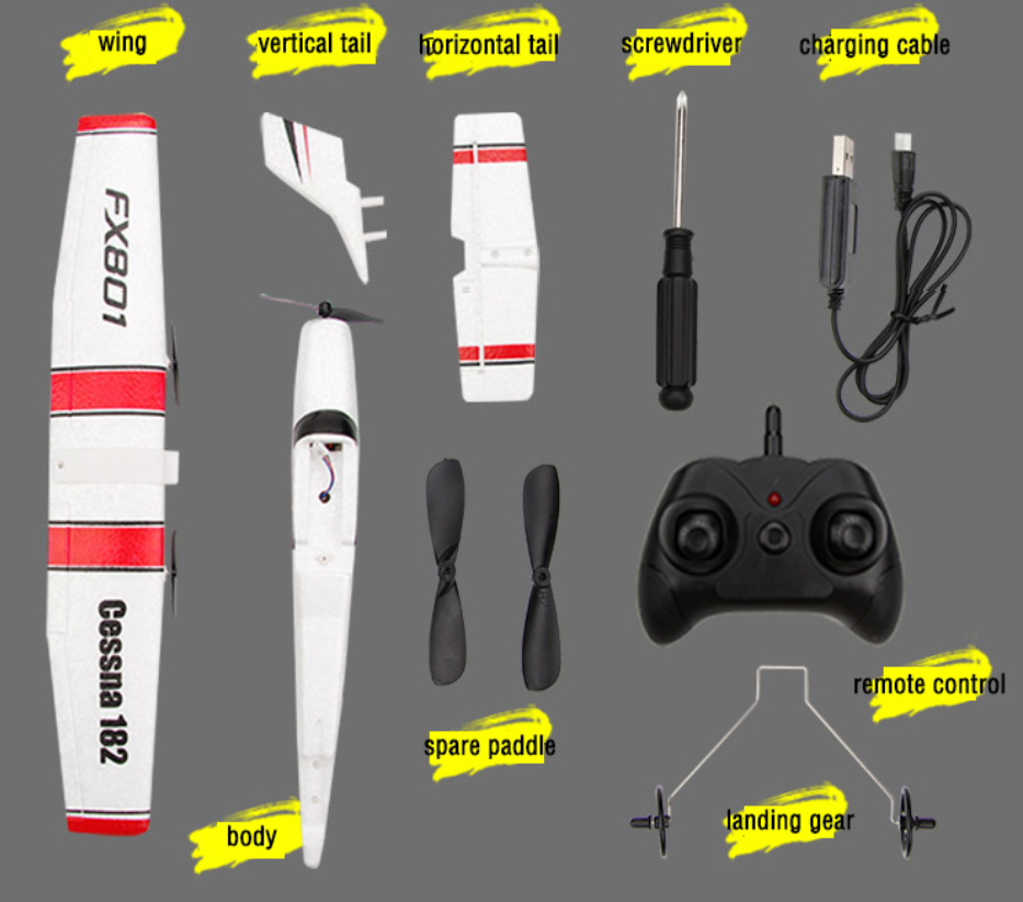 FX801 Remote Control Glider Model