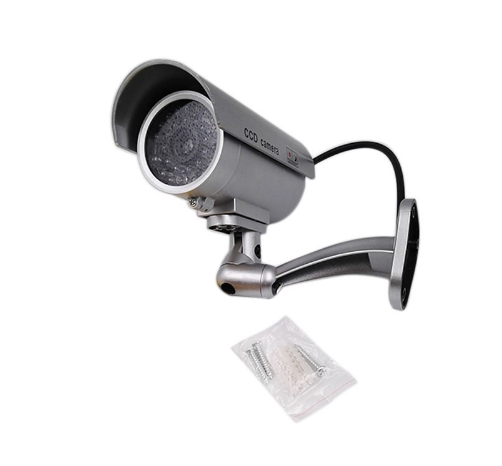 Surveillance camera CCD with light monitoring camera