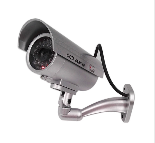 Surveillance camera CCD with light monitoring camera